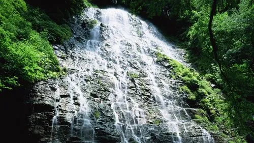 高精度电子